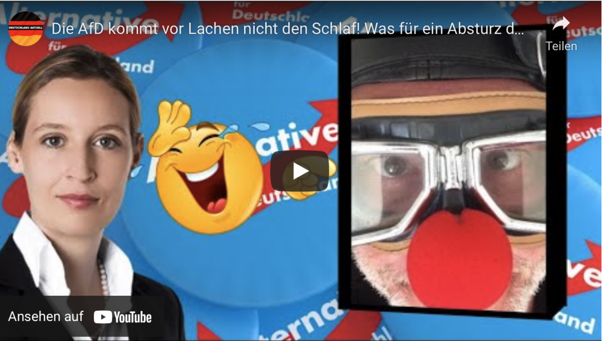 Die AfD kommt vor Lachen nicht den Schlaf! Was für ein Absturz der „besseren Bürger“…