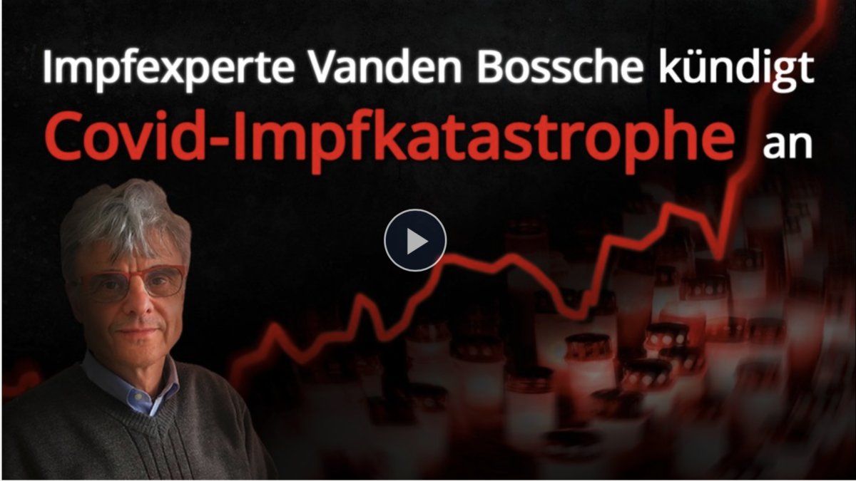 Impfexperte Vanden Bossche kündigt Covid-Impfkatastrophe an!