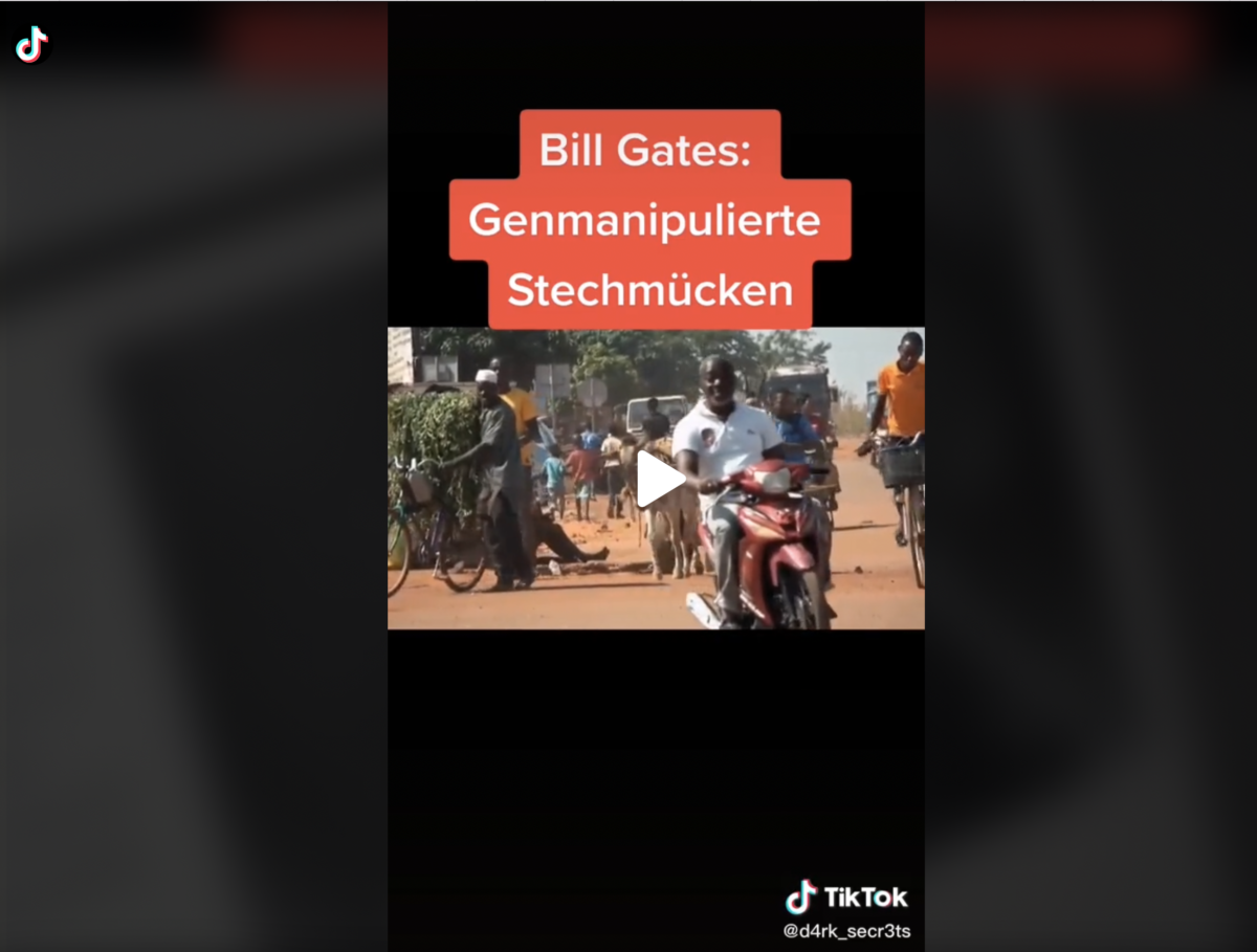 Bill Gates: Genmanipulierte Stechmücken #Afrika  #billgates