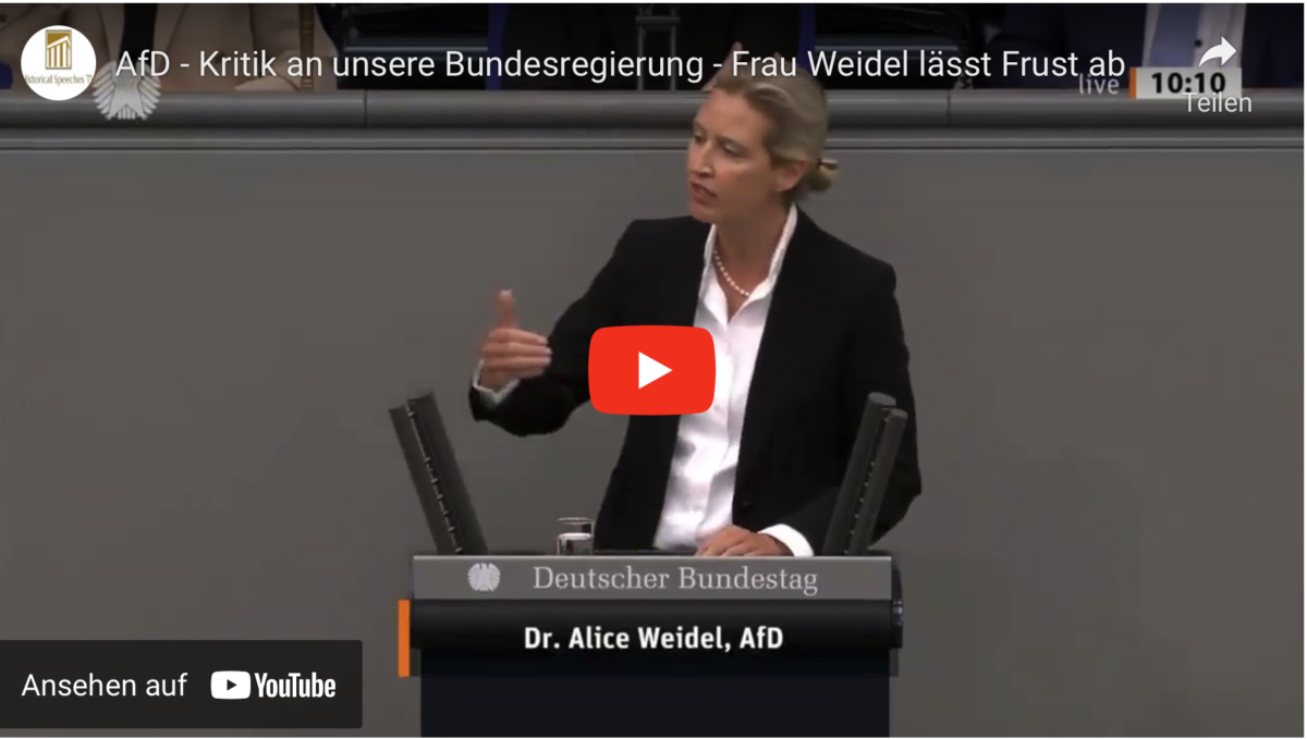 Corona-Kritik an unsere Bundesregierung – Frau Weidel lässt Frust ab!