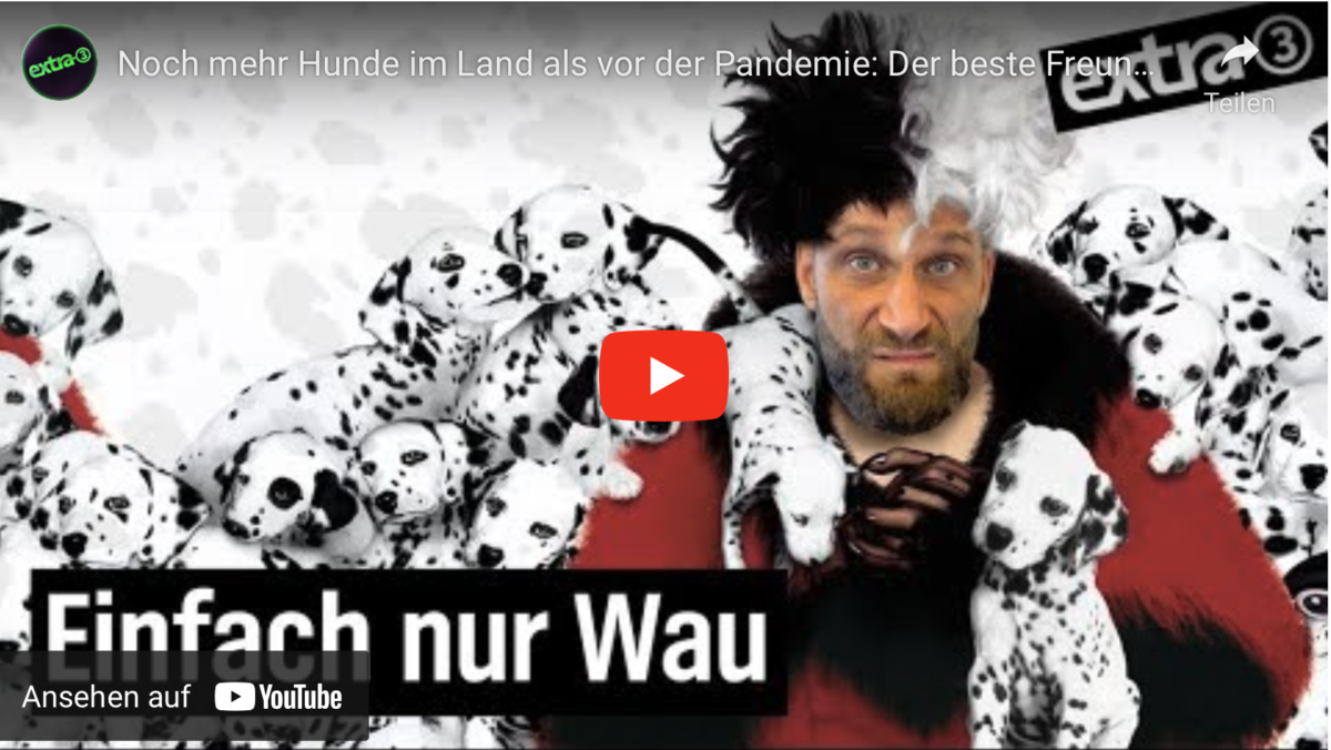 Noch mehr Hunde im Land als vor der Pandemie: Der beste Freund des Menschen?