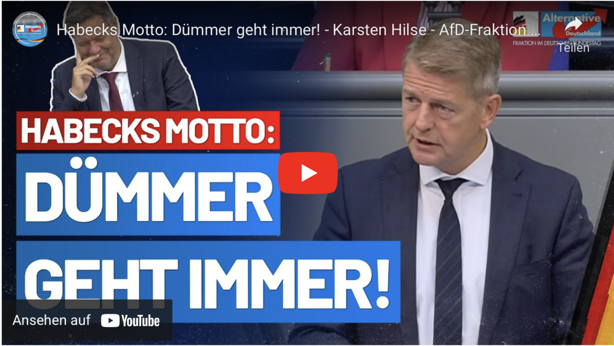 Habecks Motto: Dümmer geht immer!