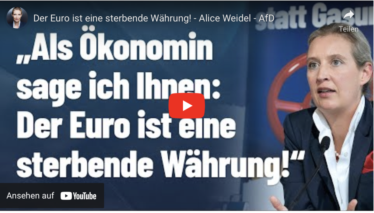 Der Euro ist eine sterbende Währung!