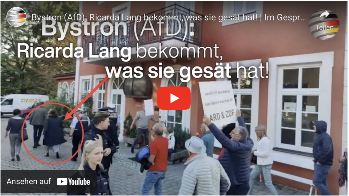 Bystron (AfD): Ricarda Lang bekommt, was sie gesät hat!