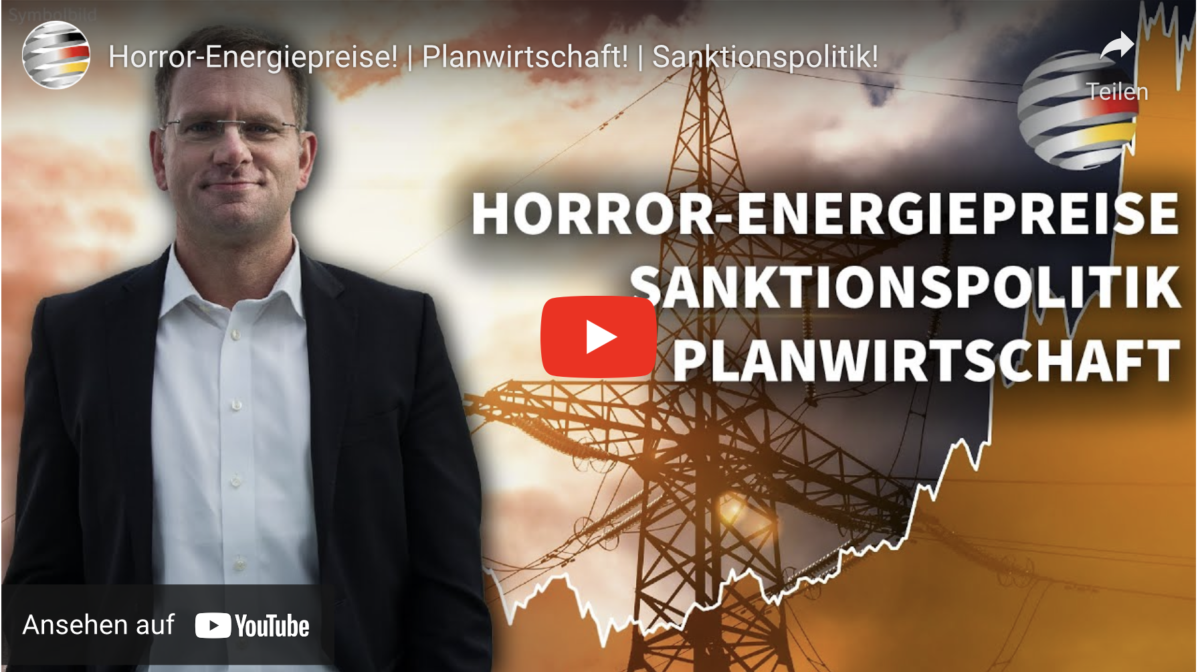 Horror-Energiepreise! | Planwirtschaft! | Sanktionspolitik!