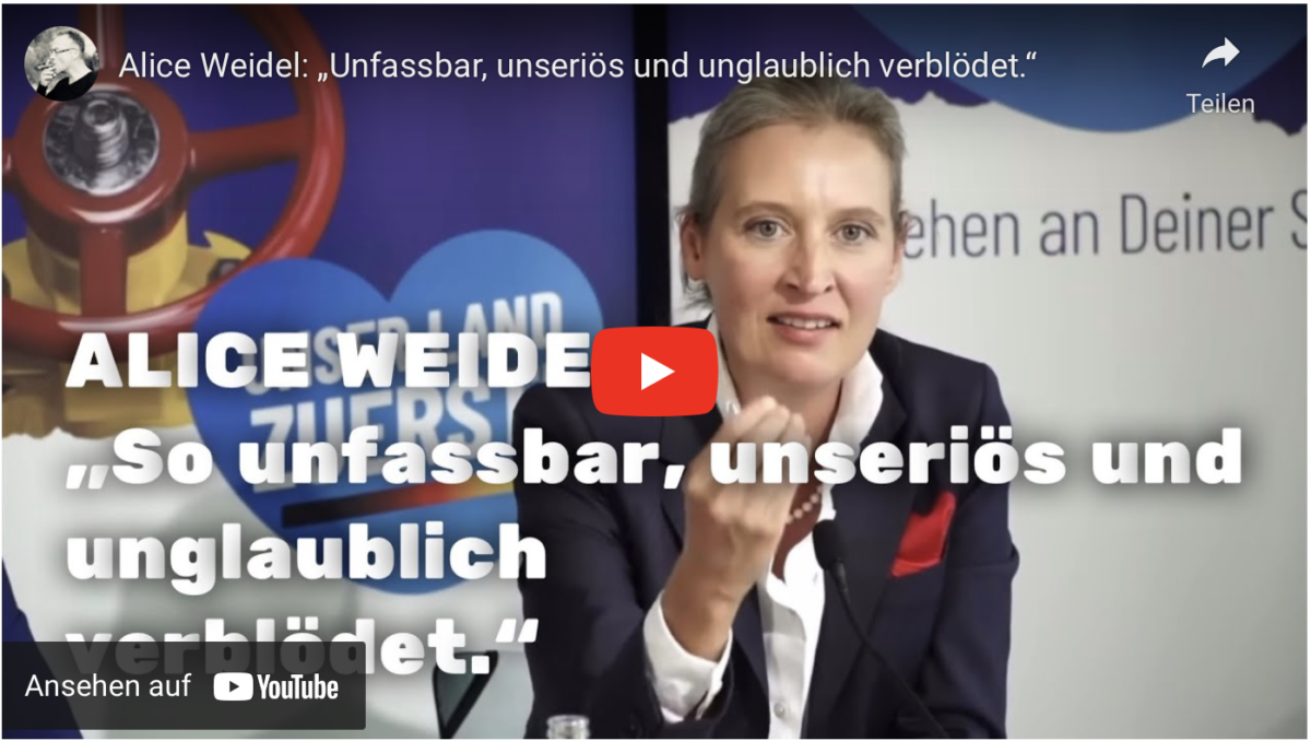 Alice Weidel: „Unfassbar, unseriös und unglaublich verblödet.“