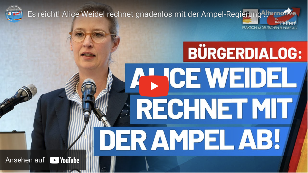 Es reicht! Alice Weidel rechnet gnadenlos mit der Ampel-Regierung ab!