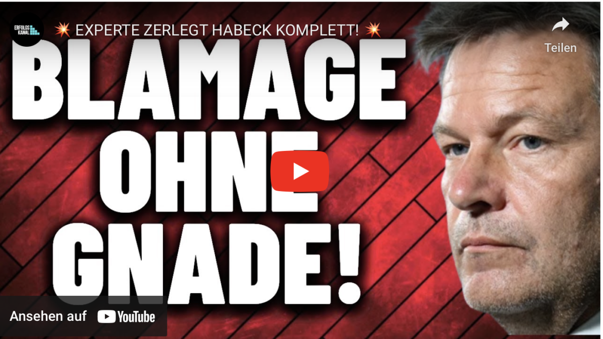 EXPERTE ZERLEGT HABECK KOMPLETT!