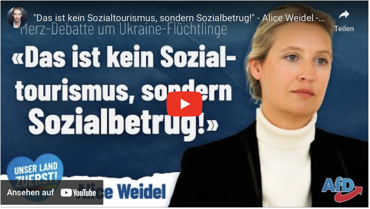 „Das ist kein Sozialtourismus, sondern Sozialbetrug!“