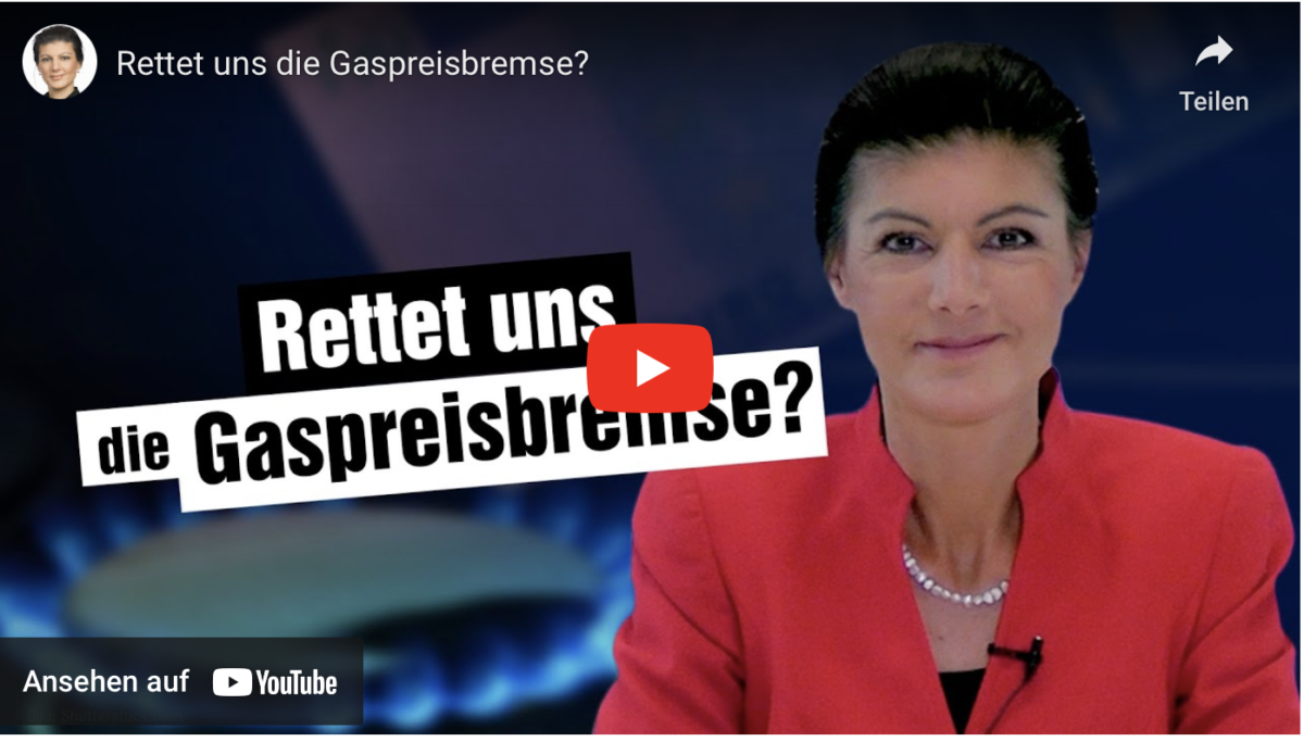 Rettet uns die Gaspreisbremse?