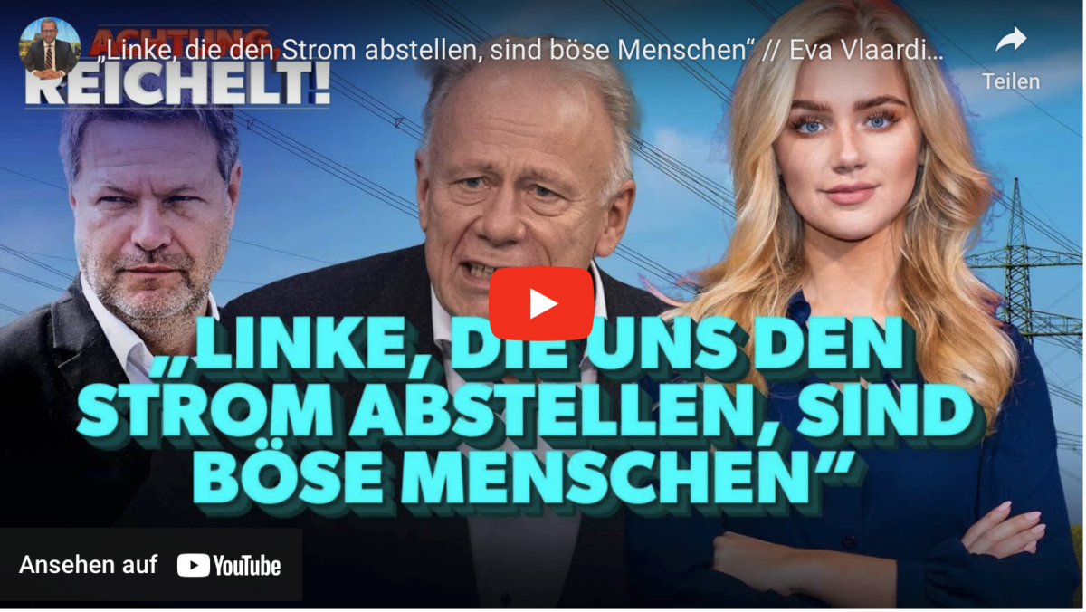 „Linke, die den Strom abstellen, sind böse Menschen“ // Eva Vlaardingerbroek über Habeck & Trittin