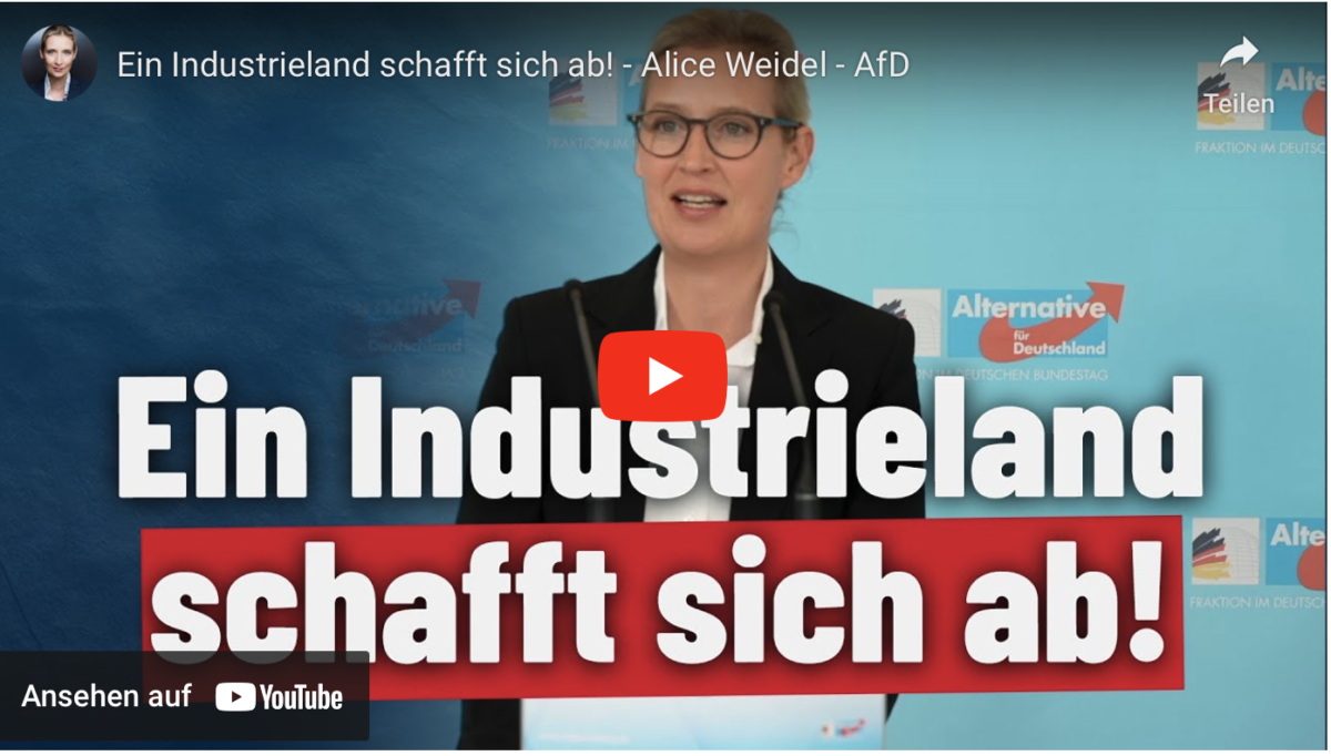 Ein Industrieland schafft sich ab!