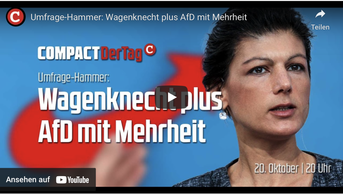 Umfrage-Hammer: Wagenknecht plus AfD mit Mehrheit!