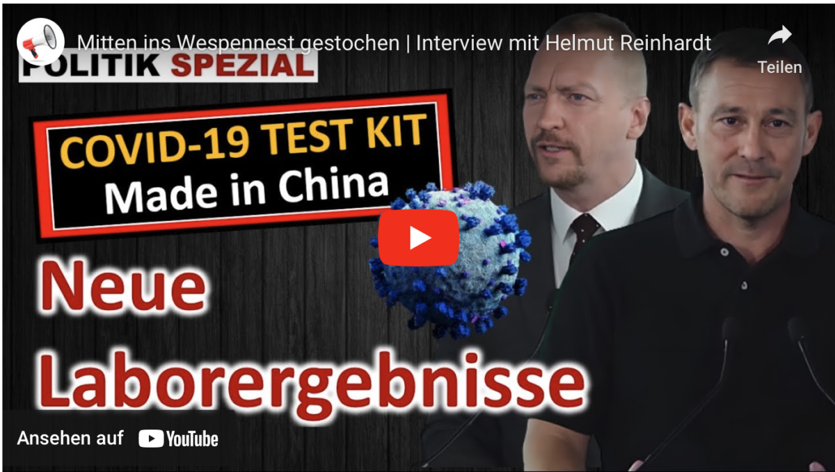 Mitten ins Wespennest gestochen