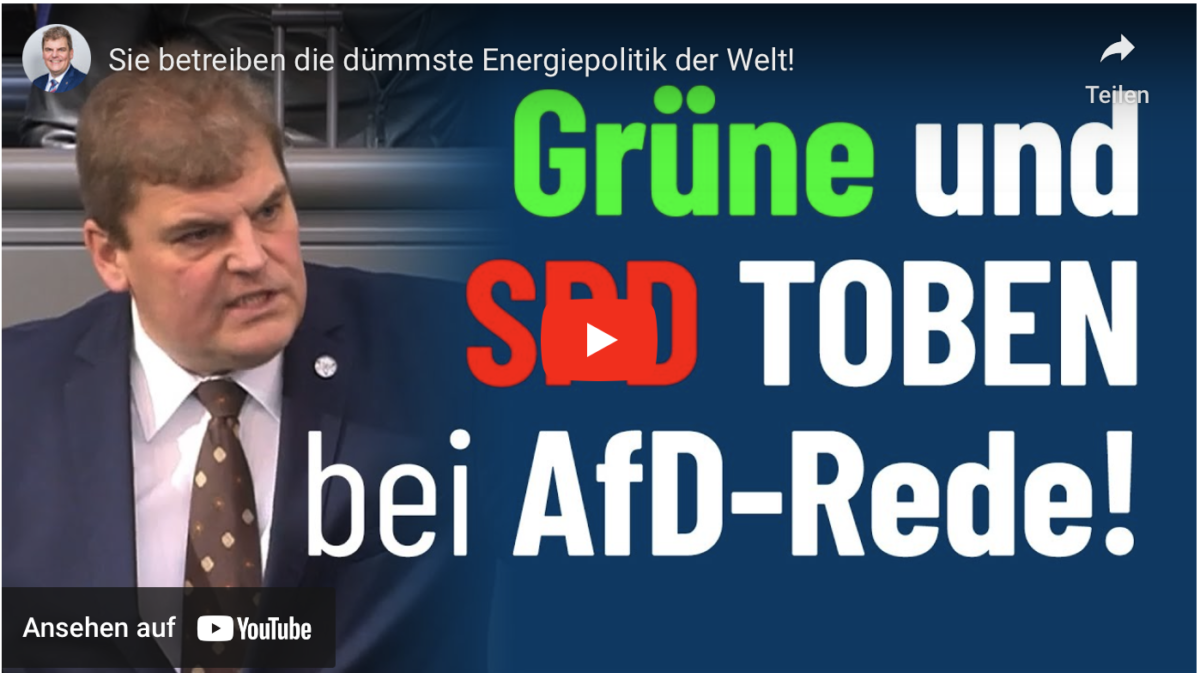 Sie betreiben die dümmste Energiepolitik der Welt!
