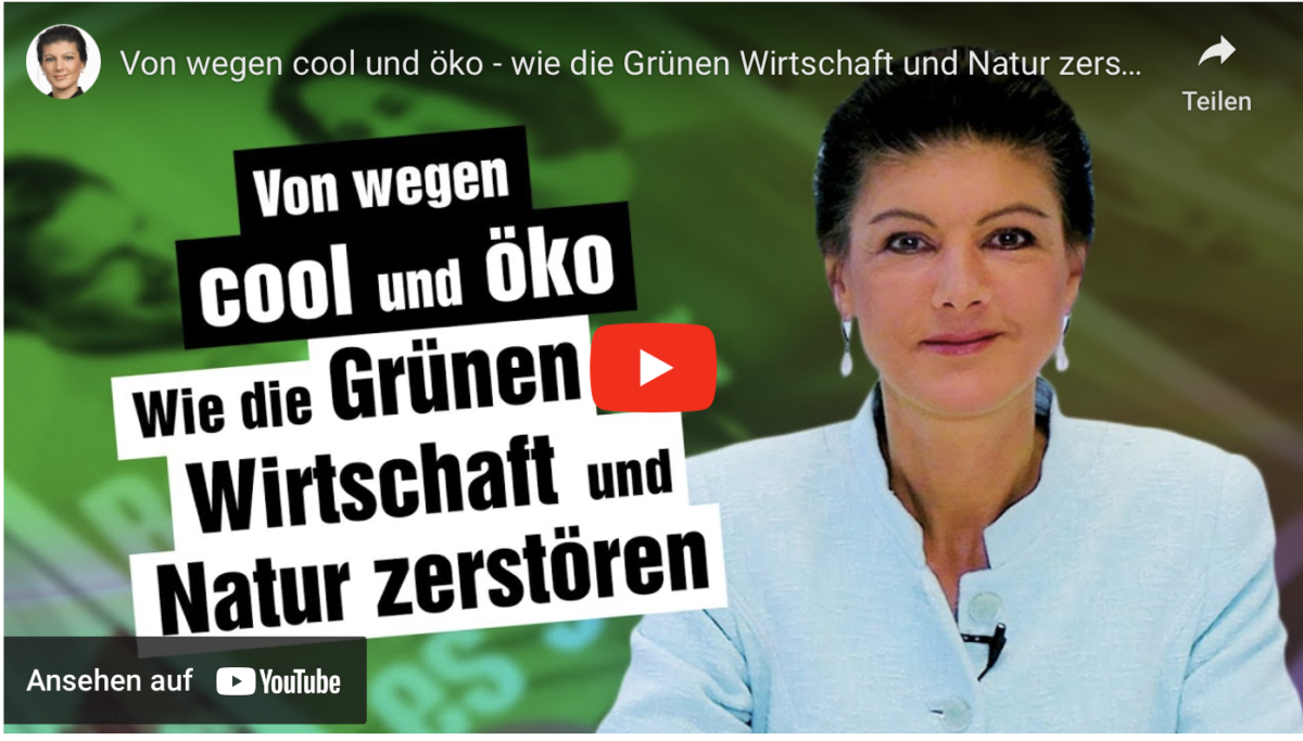Von wegen cool und öko – wie die Grünen Wirtschaft und Natur zerstören!
