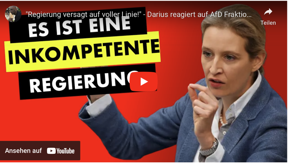 „Regierung versagt auf voller Linie!“ – Darius reagiert auf AfD Fraktionsrede!