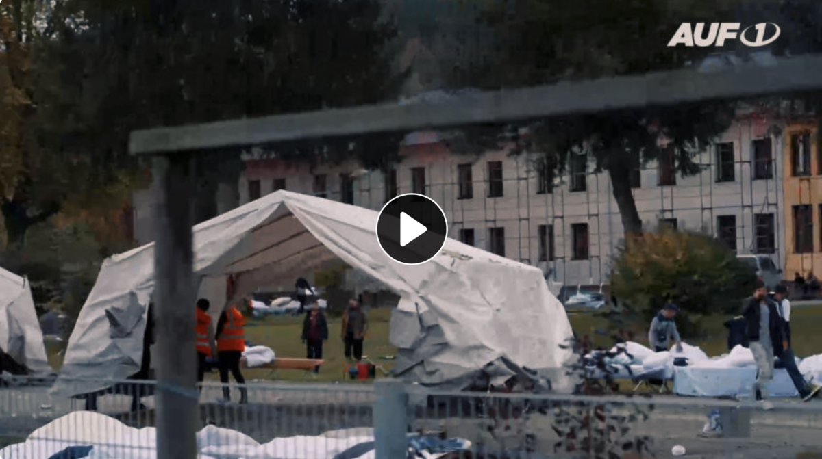 NACHRICHTEN AUF1 Flüchtlings-Reportage: Neuerlicher Asyl-Tsunami übertrifft Flüchtlingswelle von 2015!