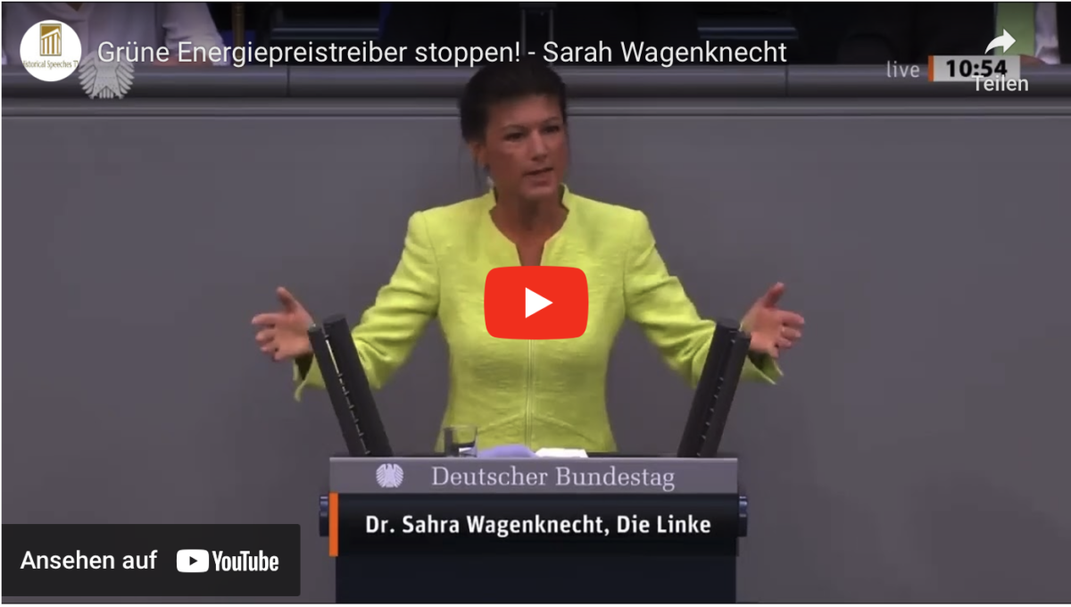Grüne Energiepreistreiber stoppen! – Sarah Wagenknecht
