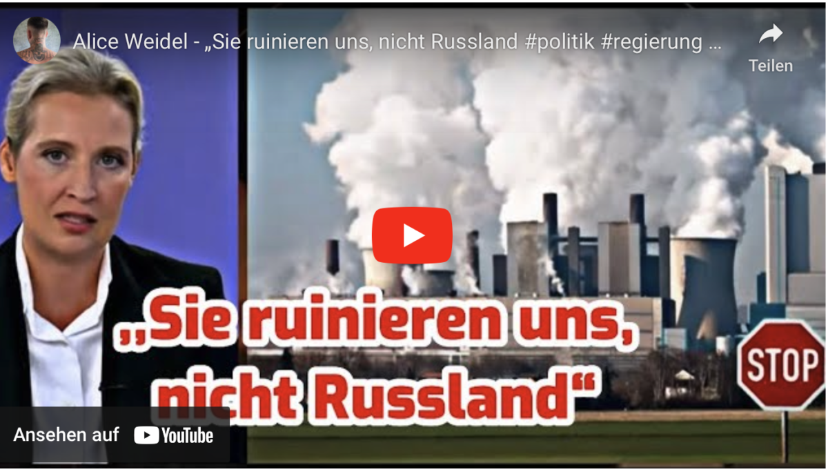 Alice Weidel – „Sie ruinieren uns, nicht Russland!