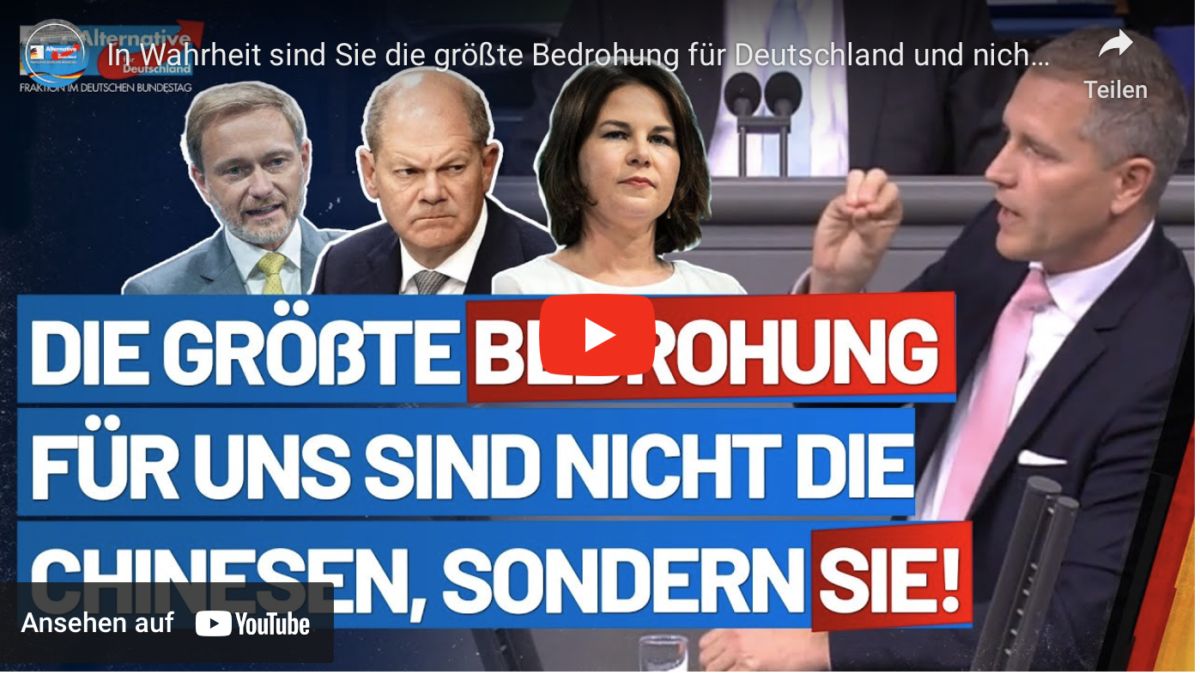 In Wahrheit sind Sie die größte Bedrohung für Deutschland und nicht China!