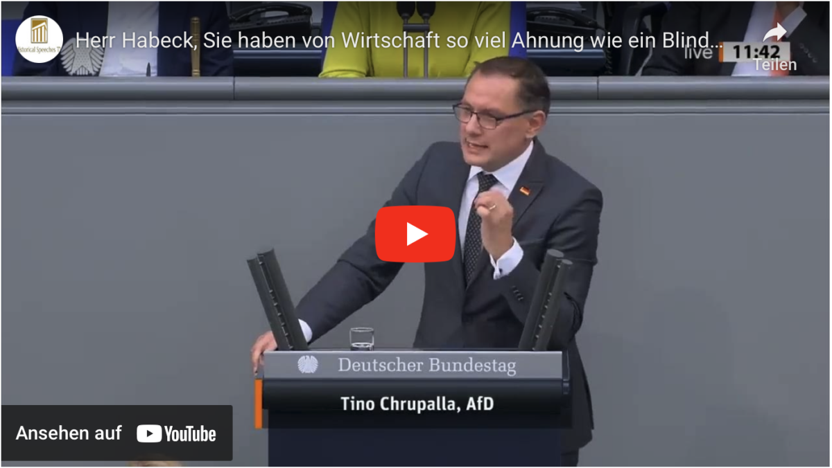 Herr Habeck, Sie haben von Wirtschaft so viel Ahnung wie ein Blinder von Farbe!