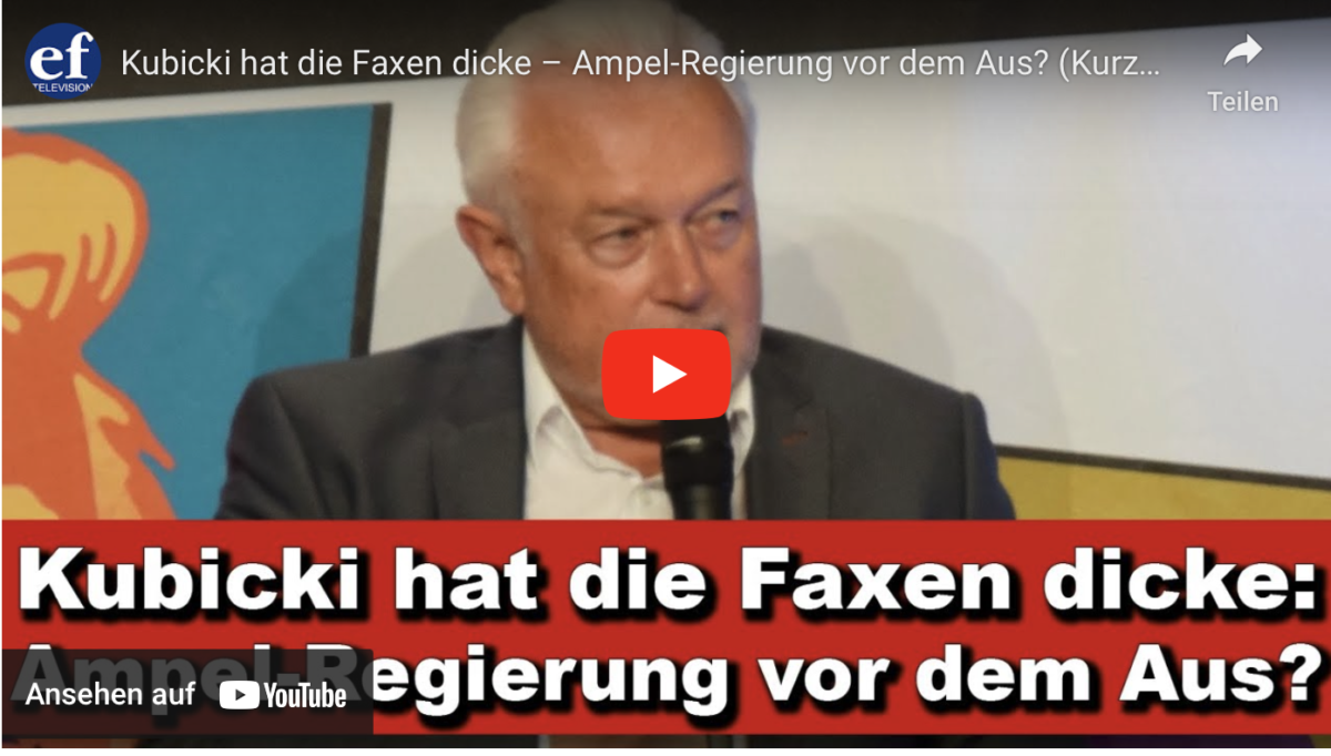 Kubicki hat die Faxen dicke – Ampel-Regierung vor dem Aus?