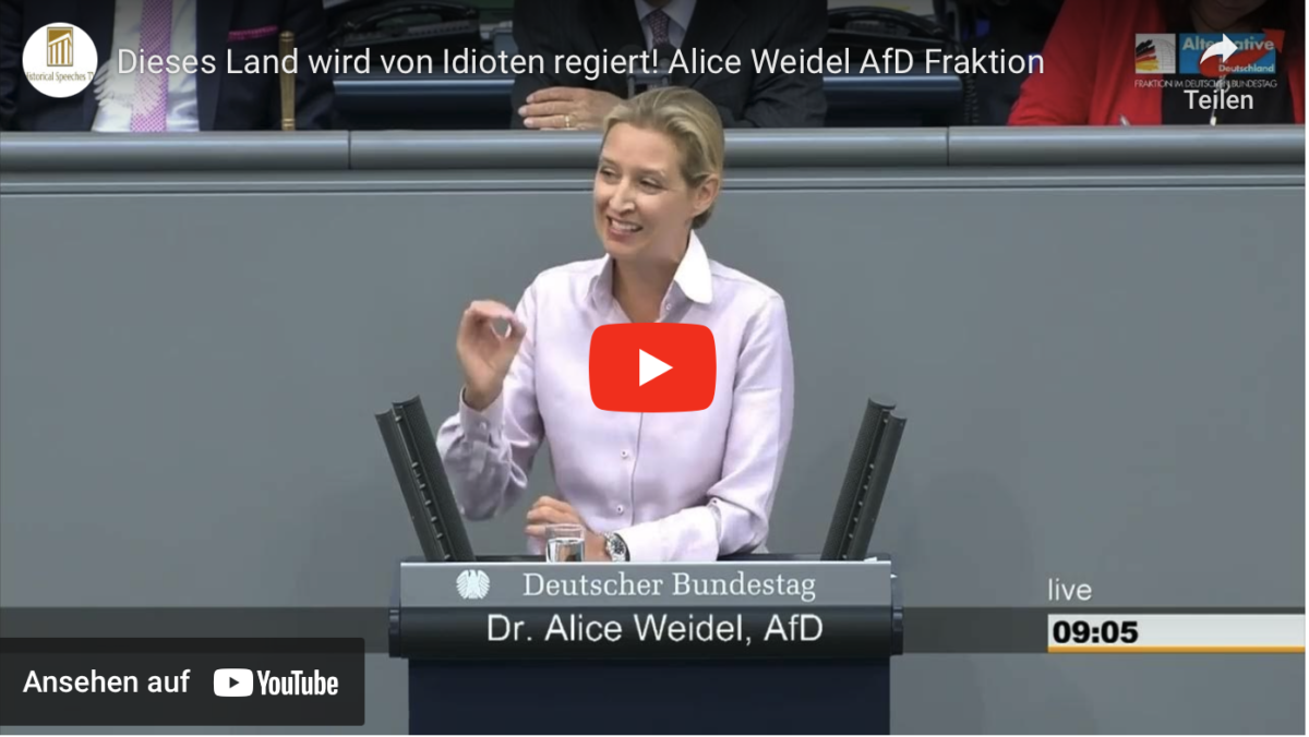 Dieses Land wird von Idioten regiert!