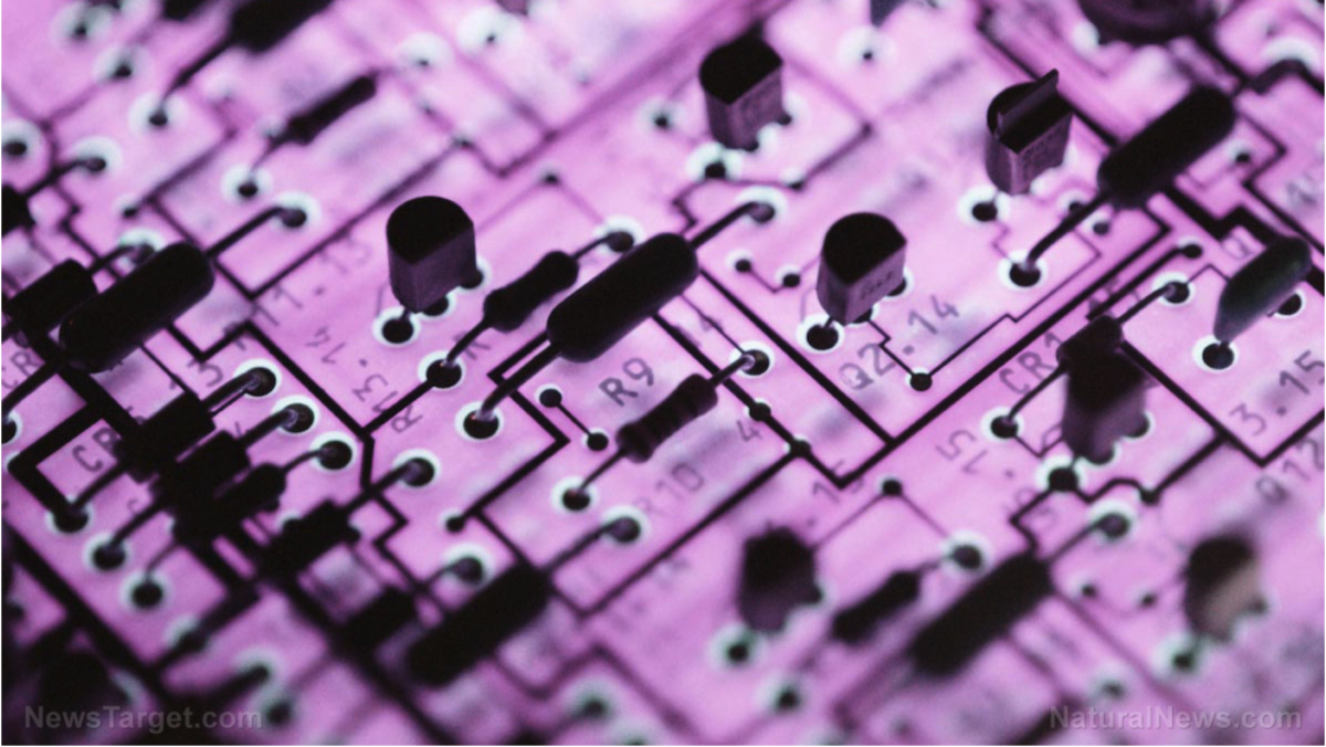 Neuralink-Gehirnchip-Implantate werden am Menschen ausprobiert, obwohl sie in Tierversuchen MEHRERE TODESFÄLLE verursacht haben