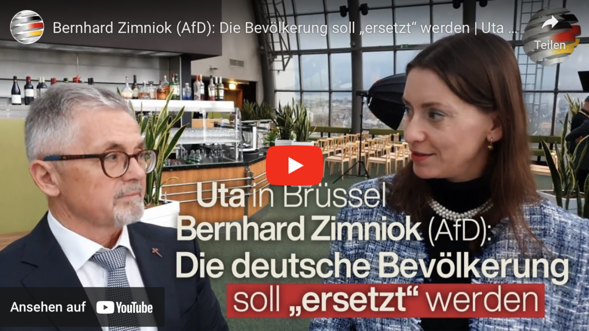 Bernhard Zimniok (AfD): Die Bevölkerung soll „ersetzt“ werden!