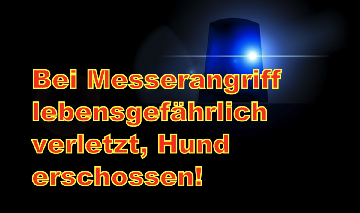 Friedrichshain-Kreuzberg: Bei Messerangriff lebensgefährlich verletzt, Hund erschossen!