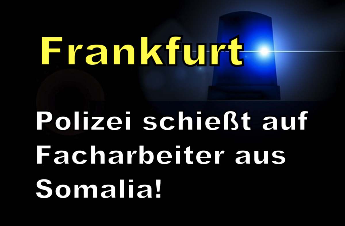 Frankfurt-Flughafen: Angriff mit Messer in S-Bahn! Polizei schießt auf Facharbeiter aus Somalia!