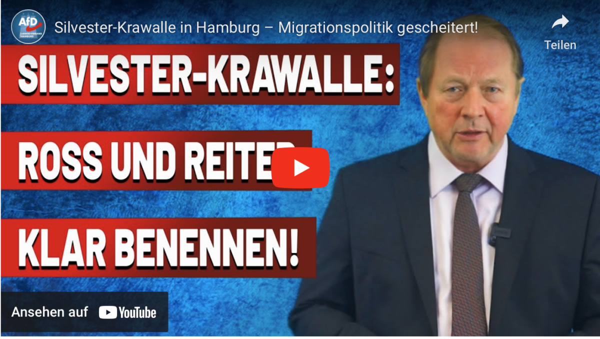 Silvester-Krawalle in Hamburg – Migrationspolitik gescheitert!