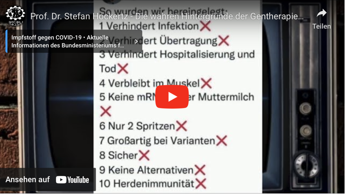 Prof. Dr. Stefan Hockertz – Die wahren Hintergründe der Gentherapie (20221122)