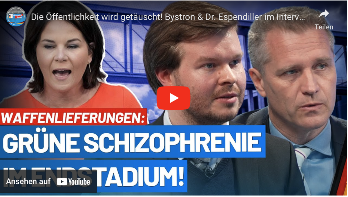 Waffenlieferung: Die Öffentlichkeit wird getäuscht!