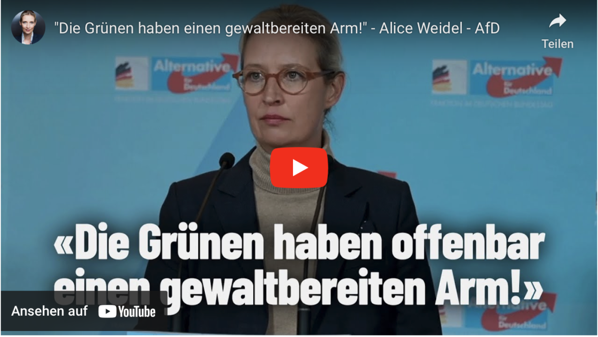 „Die Grünen haben einen gewaltbereiten Arm!“