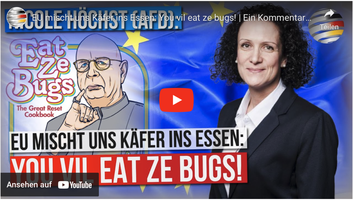 EU mischt uns Käfer ins Essen: You vil eat ze bugs!