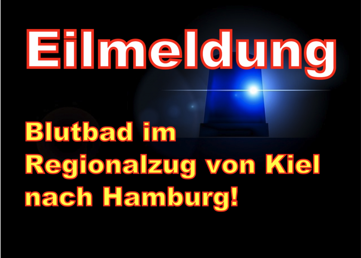 +++Eilmeldung+++ Blutbad im Regionalzug von Kiel nach Hamburg!