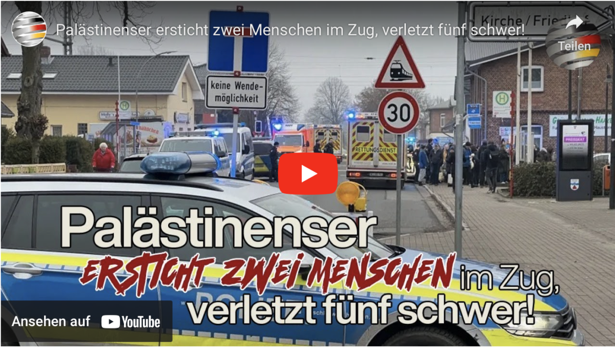 Palästinenser ersticht zwei Menschen im Zug, verletzt fünf schwer!