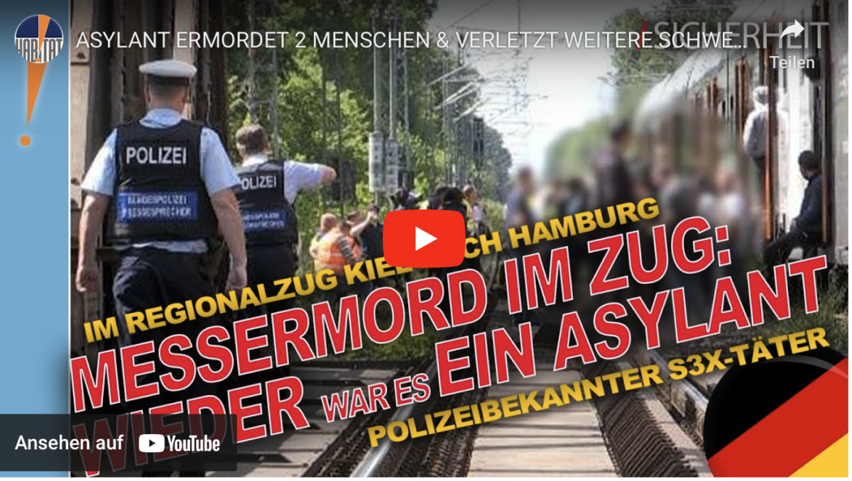 ASYLANT ERMORDET 2 MENSCHEN & VERLETZT WEITERE SCHWER / Panik im Regionalexpress RE 7 Kiel – Hamburg