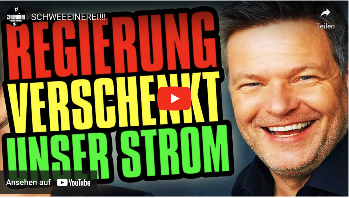 SCHWEEEINEREI!!! Regierung verschenkt unser Strom!