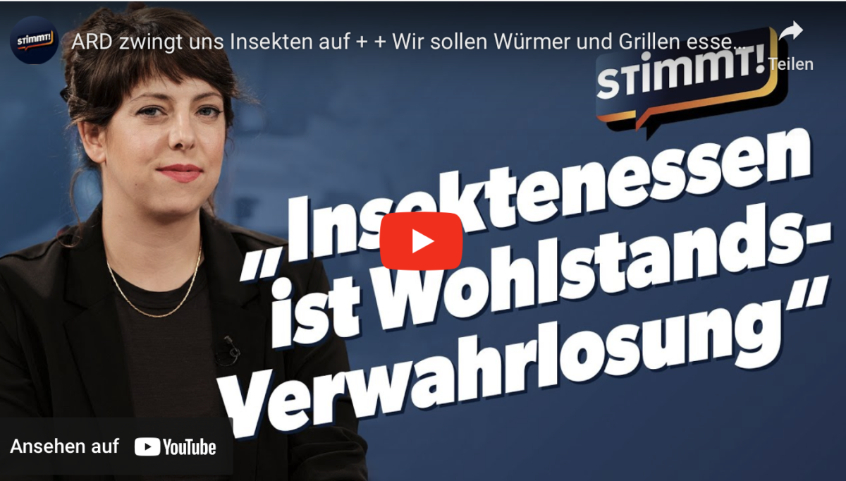 ARD zwingt uns Insekten auf + + Wir sollen Würmer und Grillen essen + +