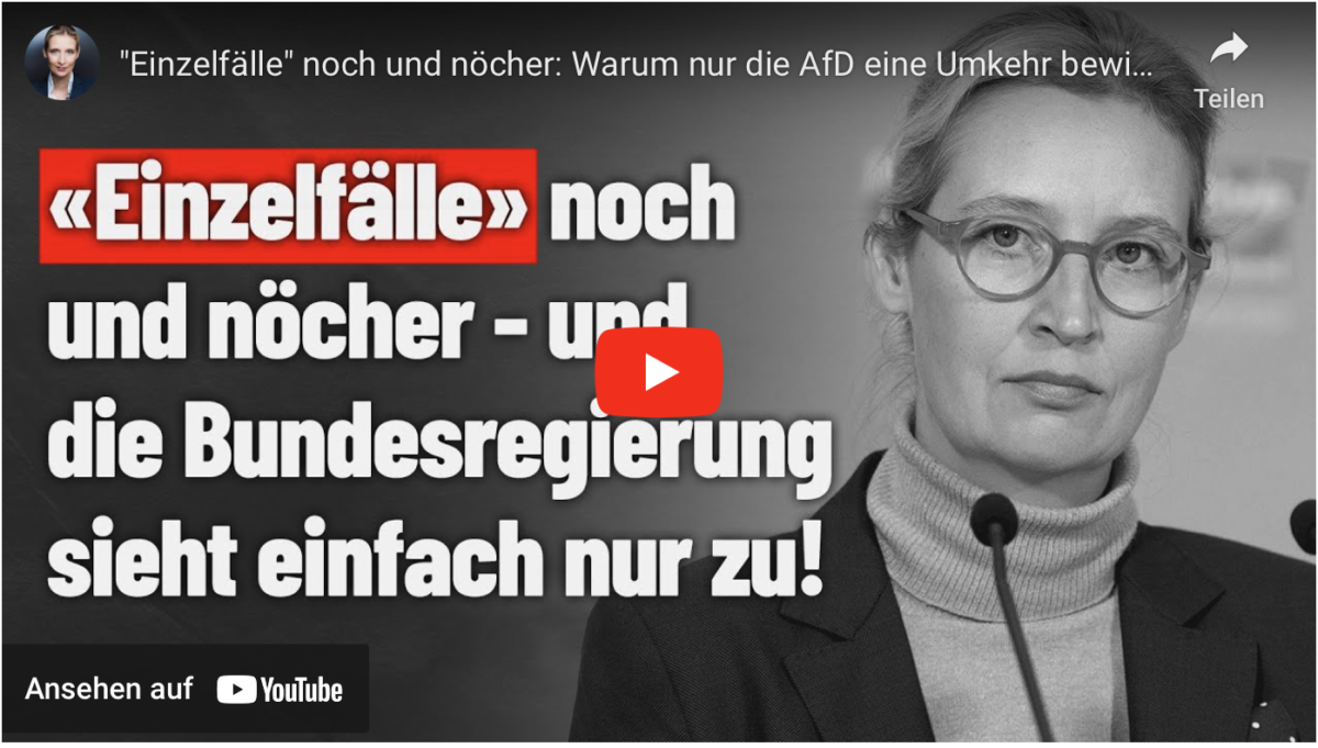 „Einzelfälle“ noch und nöcher: Warum nur die AfD eine Umkehr bewirkt!