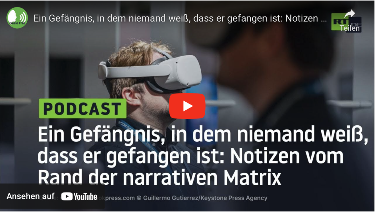 Ein Gefängnis, in dem niemand weiß, dass er gefangen ist: Notizen vom Rand der narrativen Matrix