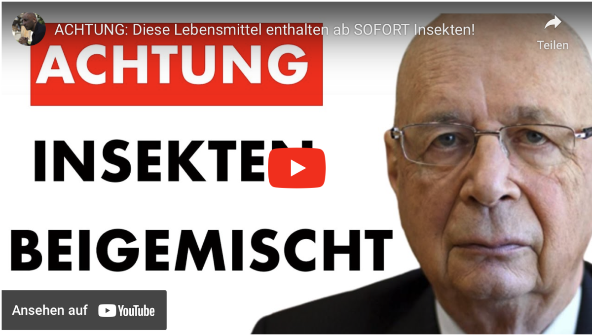 ACHTUNG: Diese Lebensmittel enthalten ab SOFORT Insekten!