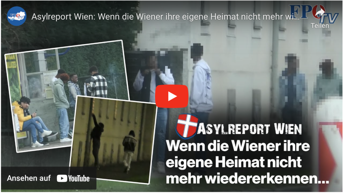 Asylreport Wien: Wenn die Wiener ihre eigene Heimat nicht mehr wiedererkennen…!