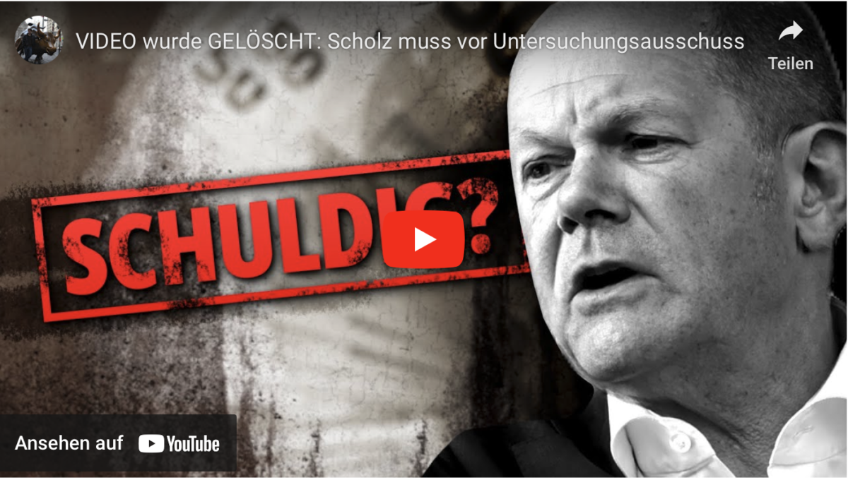 VIDEO wurde GELÖSCHT: Scholz muss vor Untersuchungsausschuss!