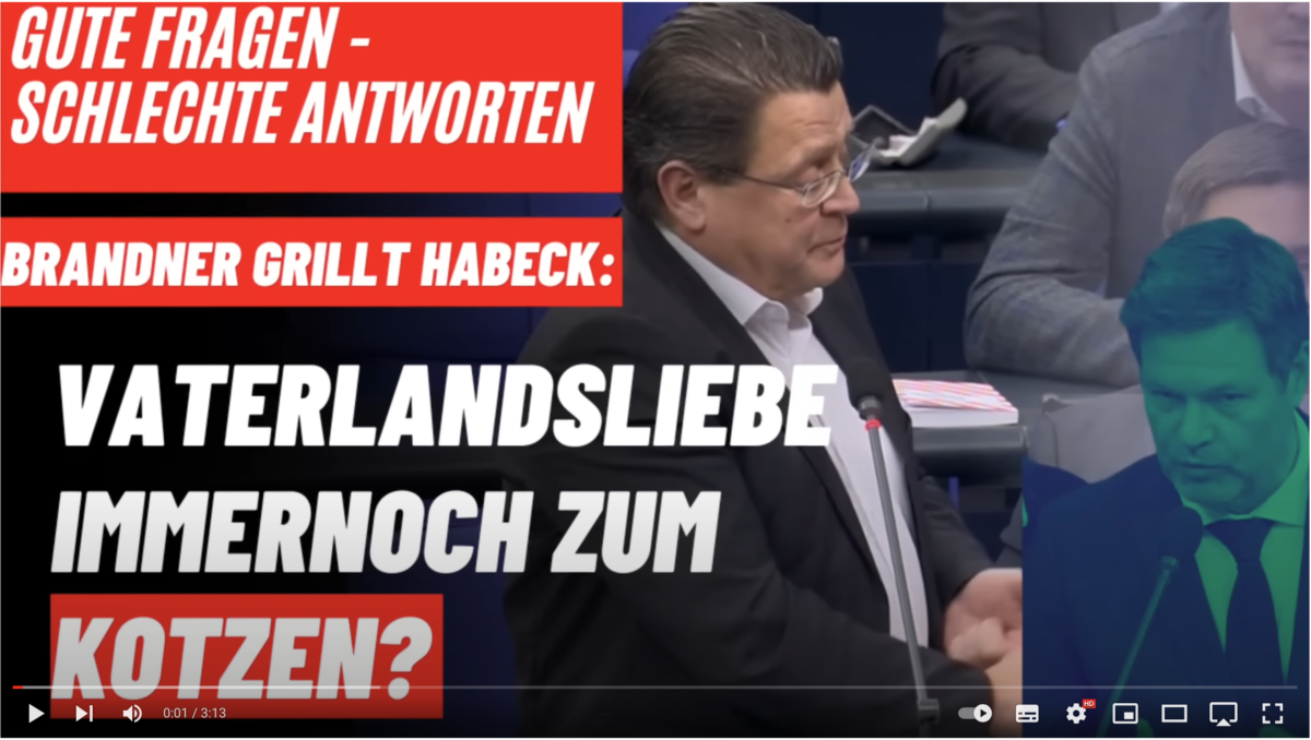 Vaterlandsliebe immernoch zum Kotzen? Brandner grillt Habeck!