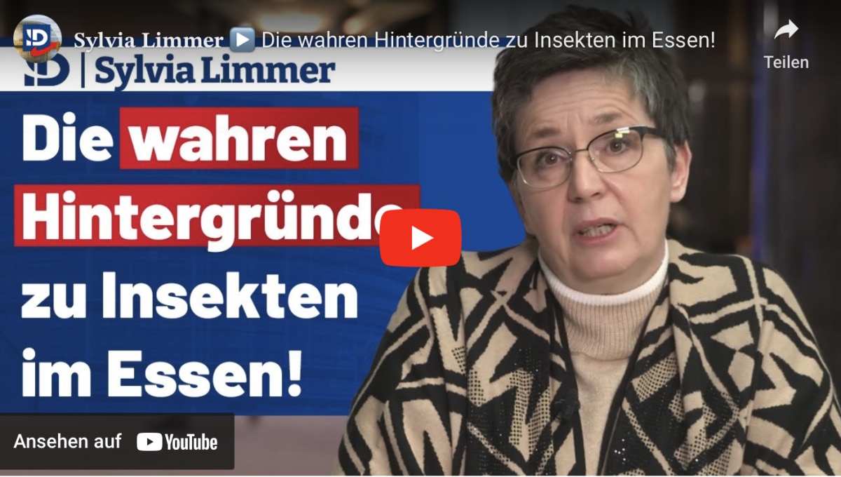 Die wahren Hintergründe zu Insekten im Essen!