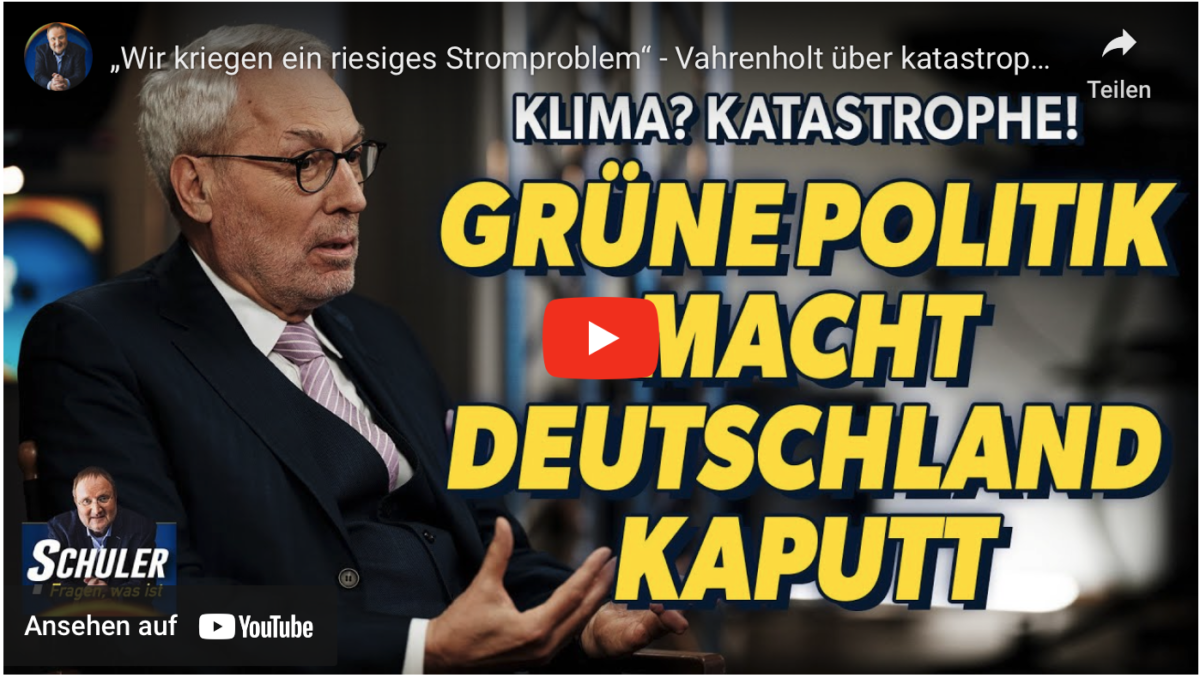 „Wir kriegen ein riesiges Stromproblem“ – Vahrenholt über katastrophale Klima-Politik
